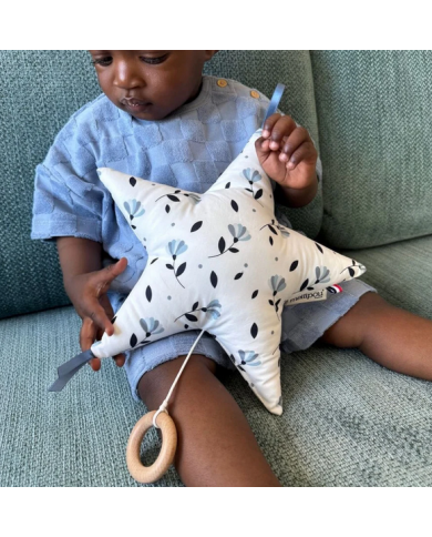 copy of Boîte à musique - Berceuse "Adèle : Someone Like You"