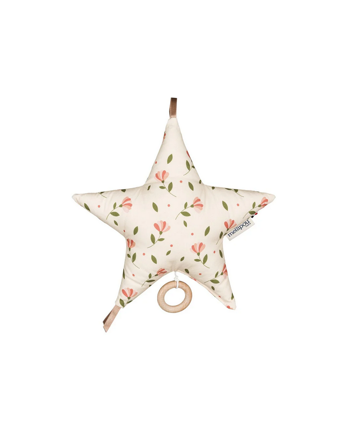 copy of Boîte à musique - Berceuse "Adèle : Someone Like You"