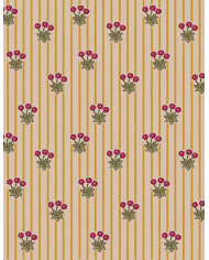 copy of Minikane- poussette baby paon