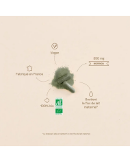 JOLLY MAMA -  Gélule de moringa allaitement - Moringa mama