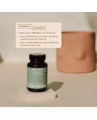 JOLLY MAMA -  Gélule de moringa allaitement - Moringa mama