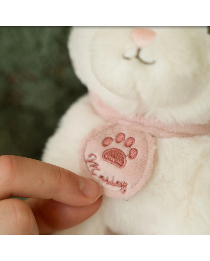 LITTLE DUTCH - Peluche dans son sac - Chat ou chien