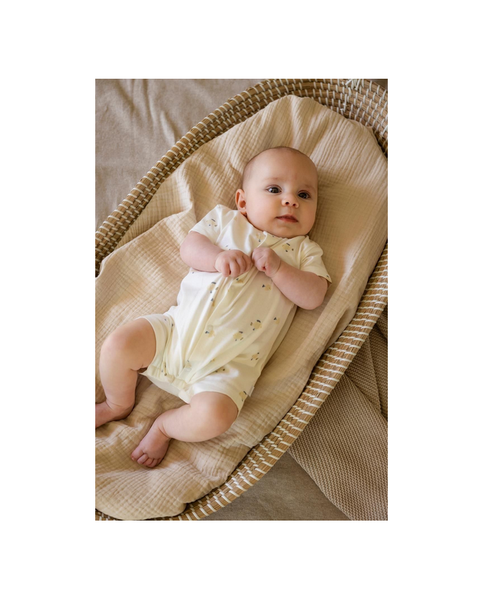 copy of Noppies- T-shirt manches longues Hester - Oatmeal