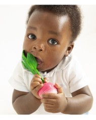 RAMONA-le radis hochet Hévéa