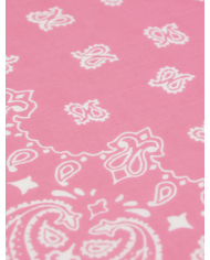 copy of ARSENE ET LES PIPELETTES - T-shirt - Poissons