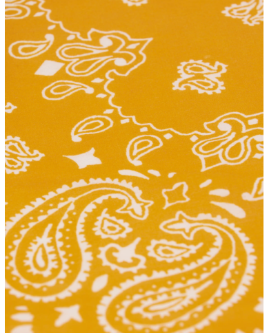 ARSENE ET LES PIPELETTES - Bandana bébé et enfant