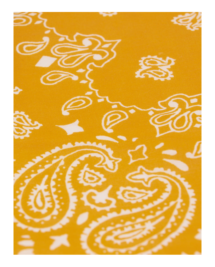 copy of ARSENE ET LES PIPELETTES - T-shirt - Poissons