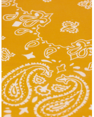 copy of ARSENE ET LES PIPELETTES - T-shirt - Poissons