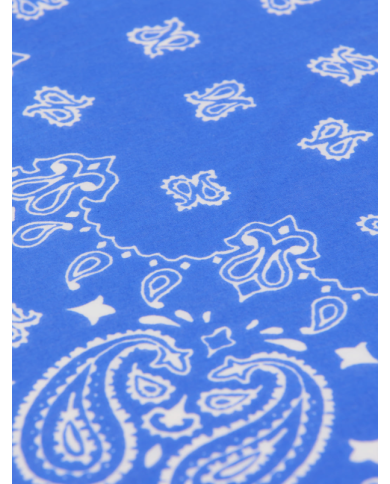 copy of ARSENE ET LES PIPELETTES - T-shirt - Poissons