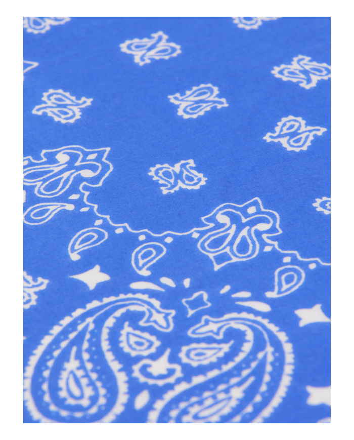 copy of ARSENE ET LES PIPELETTES - T-shirt - Poissons