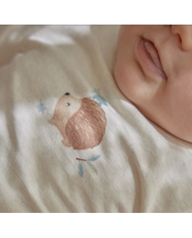 LITTLE DUTCH – Ensemble bébé – T-shirt Hérisson & short rayé bleu