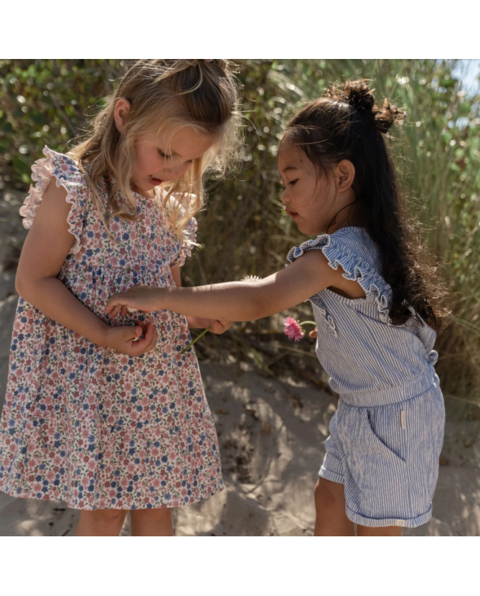 copy of LITTLE DUTCH-Train Fairy Garden