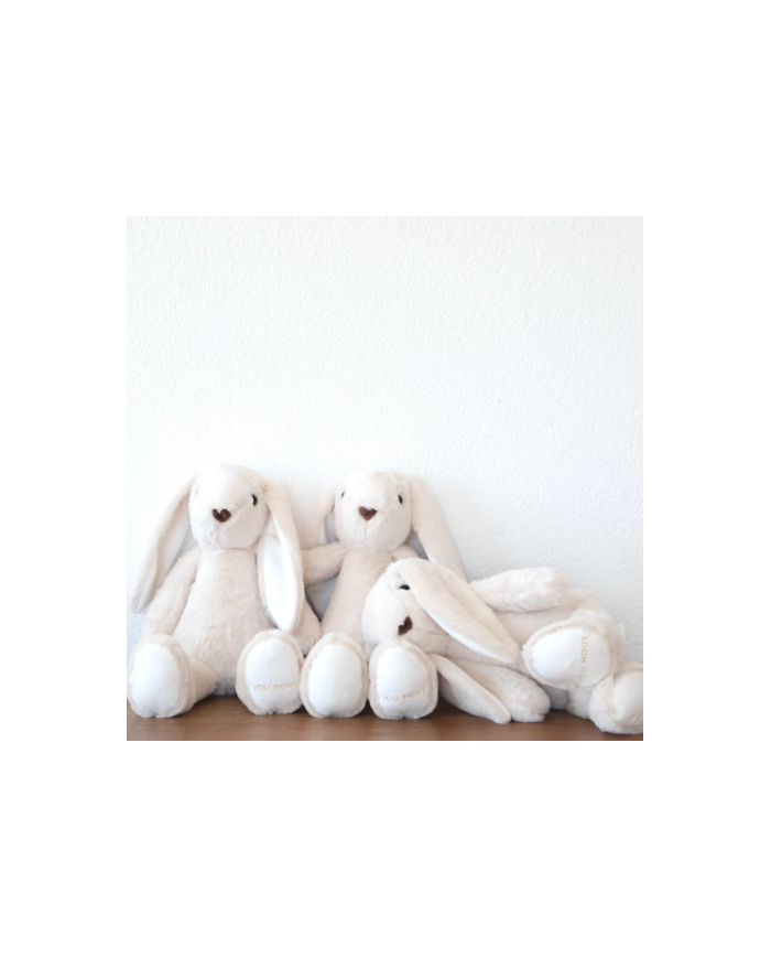 JOLI NOUS - Doudou lapin
