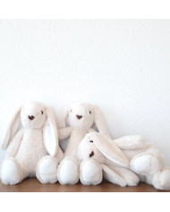 JOLI NOUS - Doudou lapin