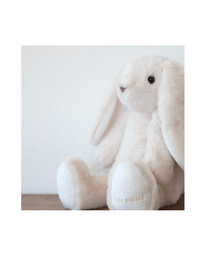 JOLI NOUS - Doudou lapin