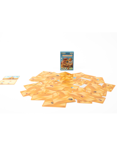 KIWIZOU - Jeu de société de voyage - Tresoro