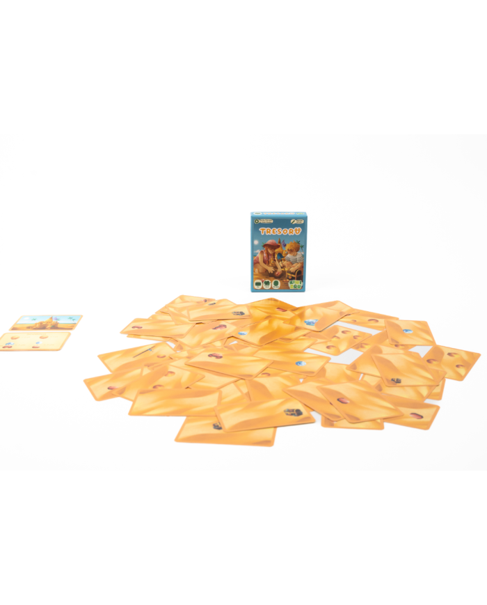 KIWIZOU - Jeu de société de voyage - Tresoro