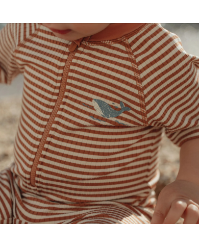 LITTLE DUTCH - Combinaison anti-UV - Rayures brunes