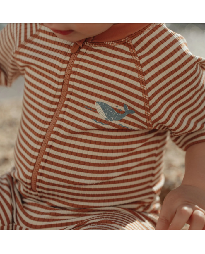 LITTLE DUTCH - Combinaison anti-UV - Rayures brunes