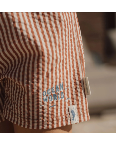 LITTLE DUTCH - Short de bain - Rayures brunes