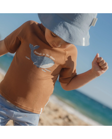 LITTLE DUTCH - T-shirt anti-UV - Brun