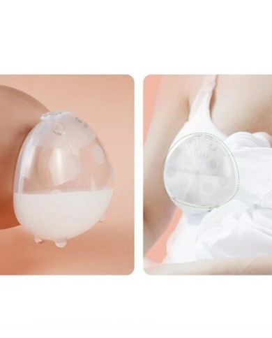 Coccinelle-recueil-lait