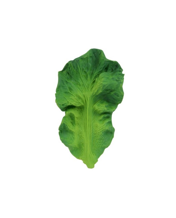 KENDALL-hochet à machouiller Hévéa