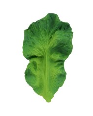 LITTLE DUTCH  - Légumes à découper