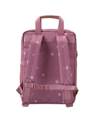 BIRD-backpack BIRD-backpack